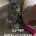  予我七暖 