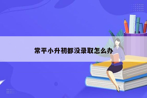 常平小升初都没录取怎么办