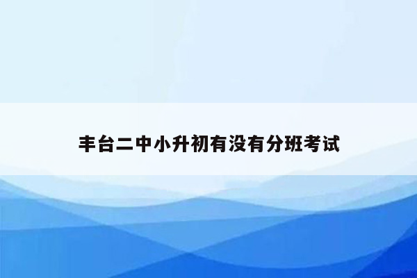 丰台二中小升初有没有分班考试