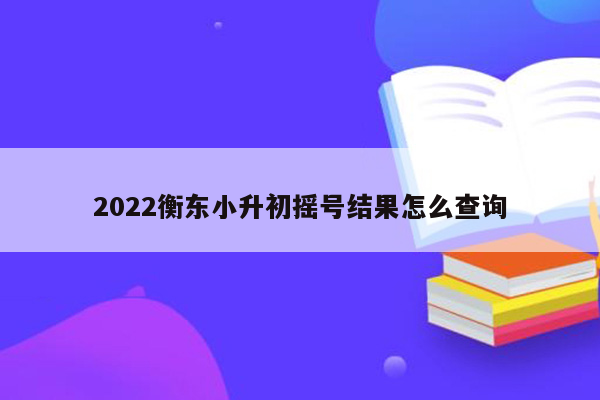 2022衡东小升初摇号结果怎么查询