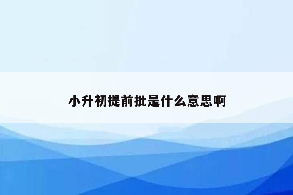 小升初提前批是什么意思啊