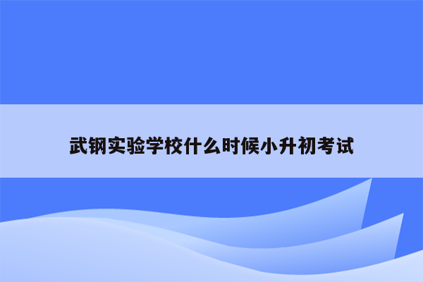 武钢实验学校什么时候小升初考试