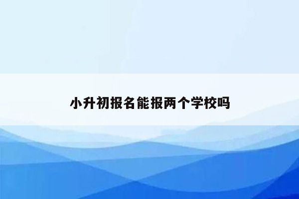 小升初报名能报两个学校吗