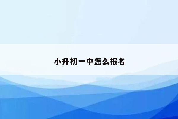 小升初一中怎么报名