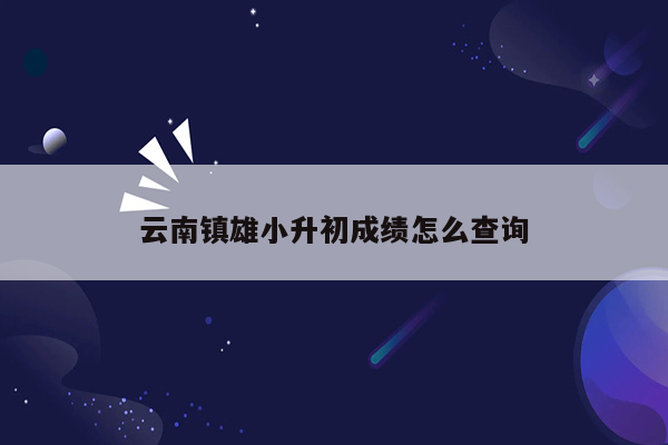 云南镇雄小升初成绩怎么查询