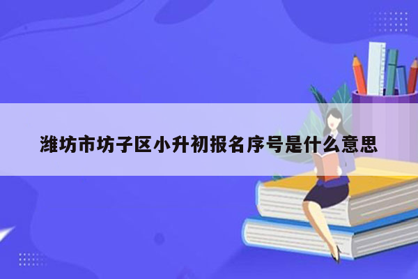 潍坊市坊子区小升初报名序号是什么意思