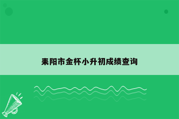 耒阳市金杯小升初成绩查询