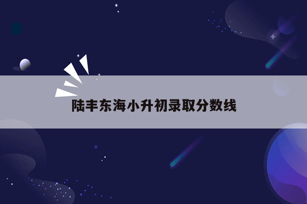 陆丰东海小升初录取分数线