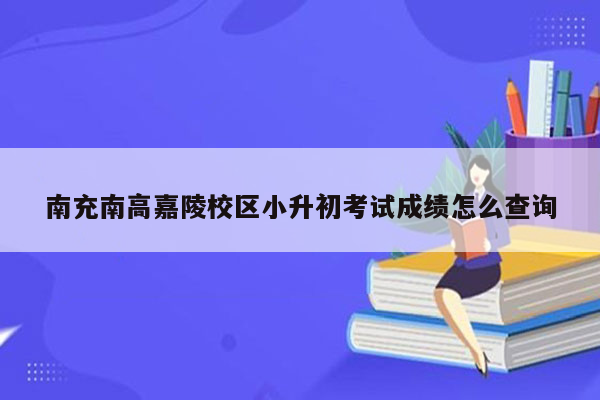 南充南高嘉陵校区小升初考试成绩怎么查询