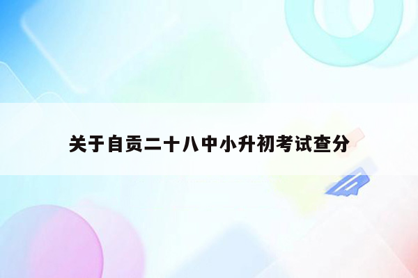 关于自贡二十八中小升初考试查分