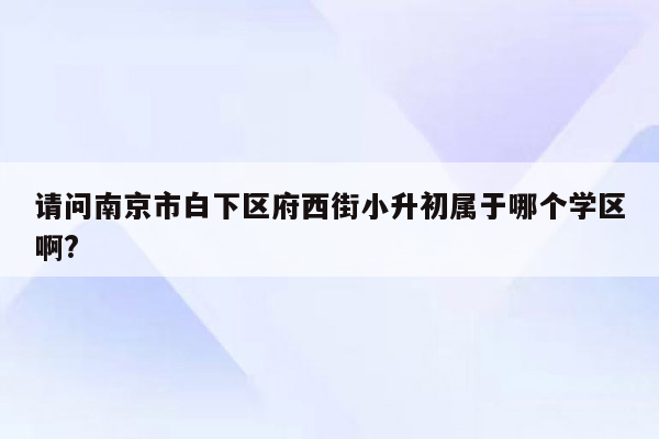 请问南京市白下区府西街小升初属于哪个学区啊?