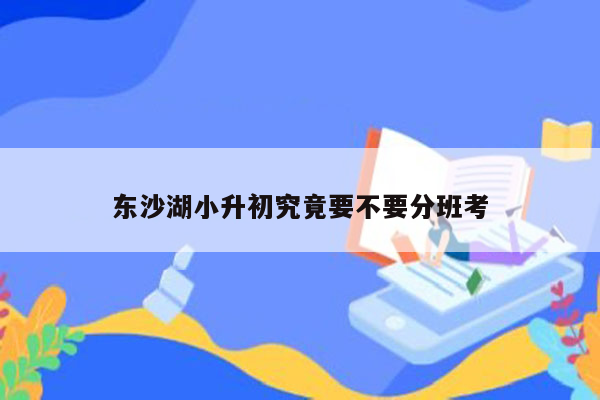 东沙湖小升初究竟要不要分班考