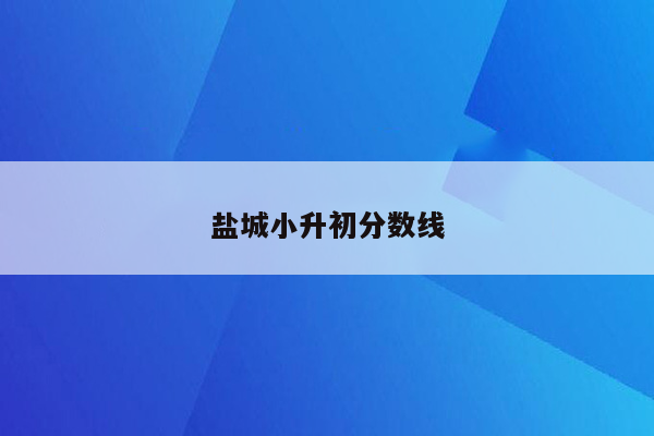 盐城小升初分数线