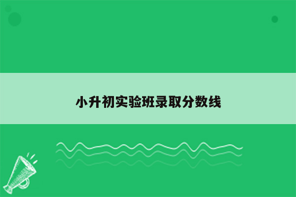 小升初实验班录取分数线