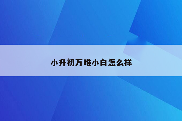 小升初万唯小白怎么样