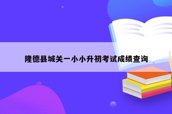 隆德县城关一小小升初考试成绩查询