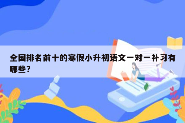 全国排名前十的寒假小升初语文一对一补习有哪些?