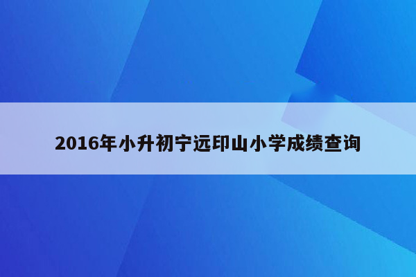 2016年小升初宁远印山小学成绩查询