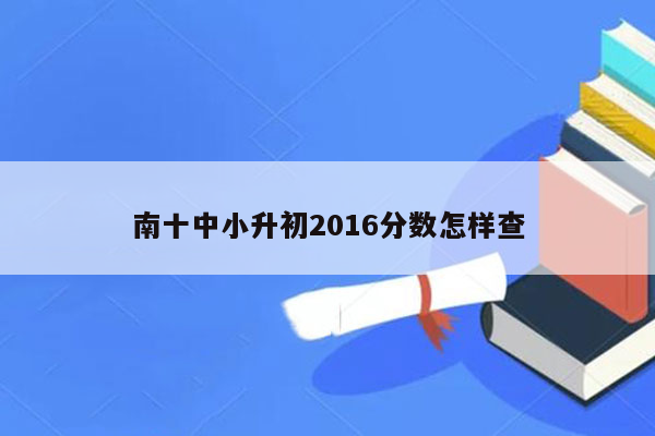 南十中小升初2016分数怎样查