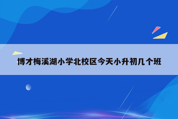 博才梅溪湖小学北校区今天小升初几个班