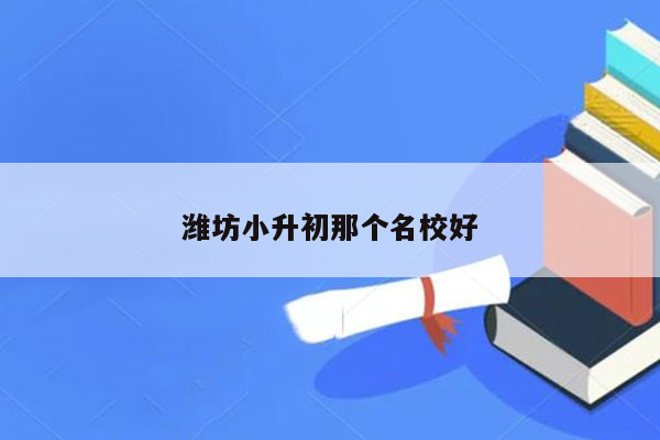 潍坊小升初那个名校好