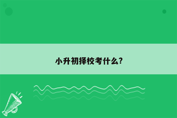 小升初择校考什么?