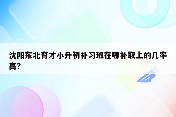 沈阳东北育才小升初补习班在哪补取上的几率高?