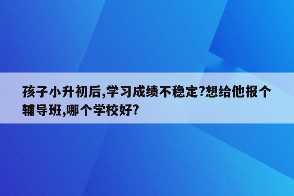 孩子小升初后,学习成绩不稳定?想给他报个辅导班,哪个学校好?