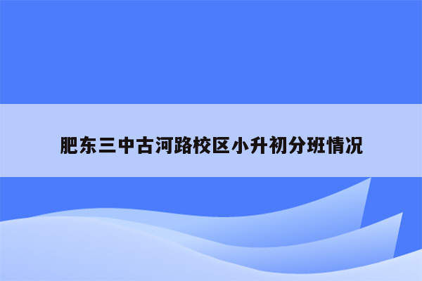 肥东三中古河路校区小升初分班情况