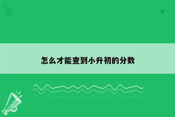 怎么才能查到小升初的分数