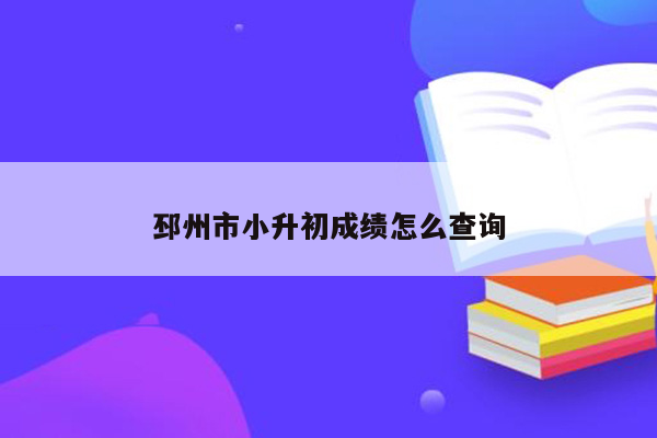 邳州市小升初成绩怎么查询