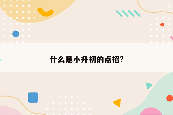 什么是小升初的点招?