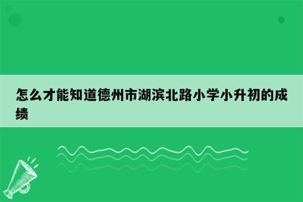 怎么才能知道德州市湖滨北路小学小升初的成绩