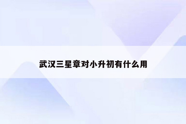 武汉三星章对小升初有什么用