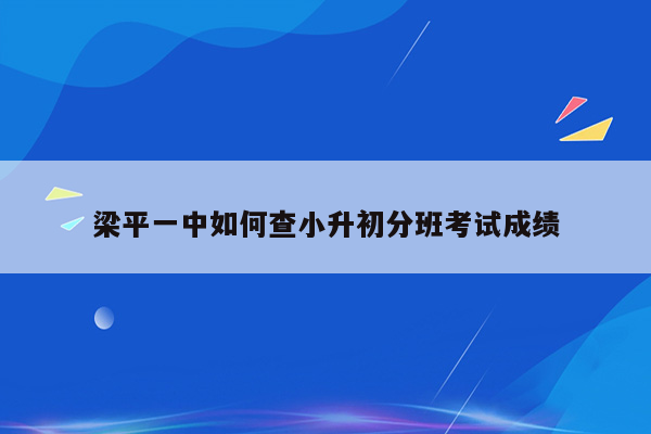 梁平一中如何查小升初分班考试成绩