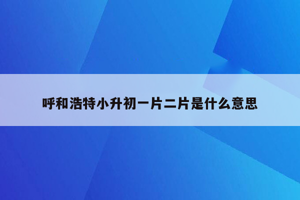 呼和浩特小升初一片二片是什么意思