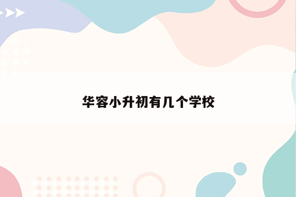 华容小升初有几个学校