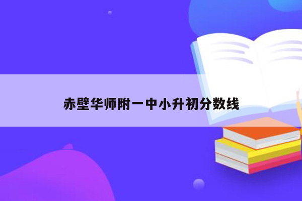 赤壁华师附一中小升初分数线