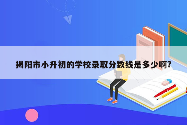 揭阳市小升初的学校录取分数线是多少啊?