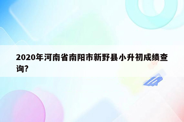 2020年河南省南阳市新野县小升初成绩查询?