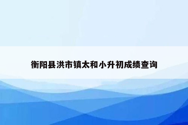 衡阳县洪市镇太和小升初成绩查询