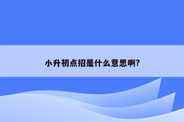 小升初点招是什么意思啊?