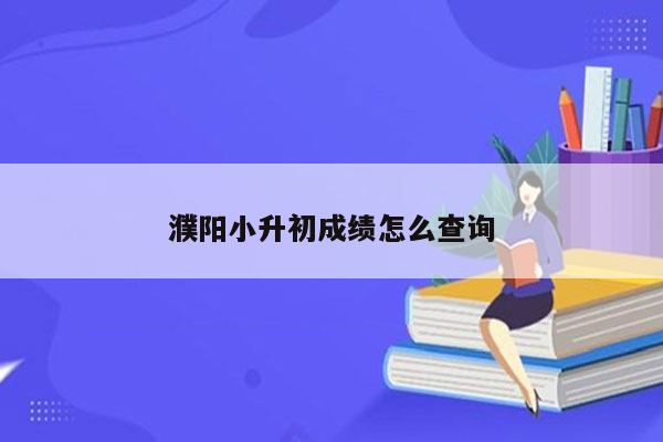 濮阳小升初成绩怎么查询