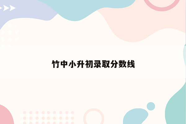 竹中小升初录取分数线