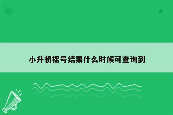 小升初摇号结果什么时候可查询到