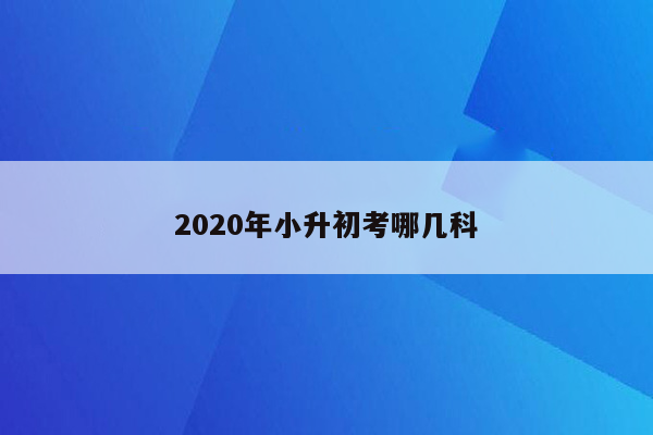 2020年小升初考哪几科