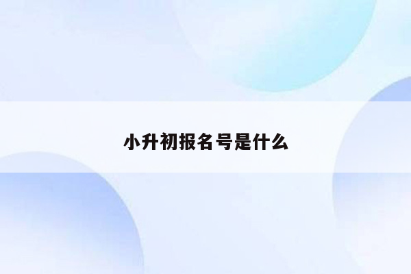 小升初报名号是什么