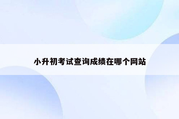 小升初考试查询成绩在哪个网站