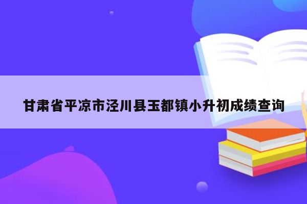 甘肃省平凉市泾川县玉都镇小升初成绩查询