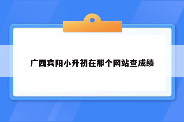 广西宾阳小升初在那个网站查成绩